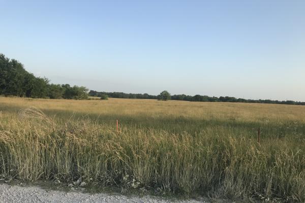 160 acres Row Crop or Grass - Image# 2