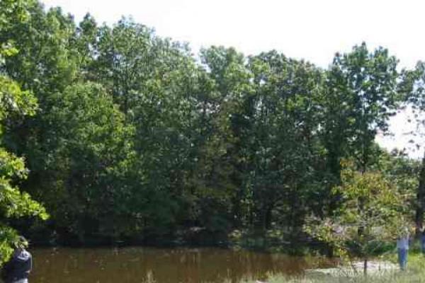 151 Acres SECLUDED GREAT HUNTING - Image# 4