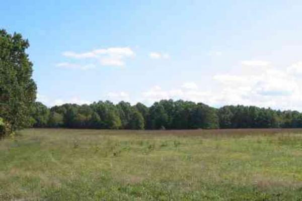 151 Acres SECLUDED GREAT HUNTING - Image# 2