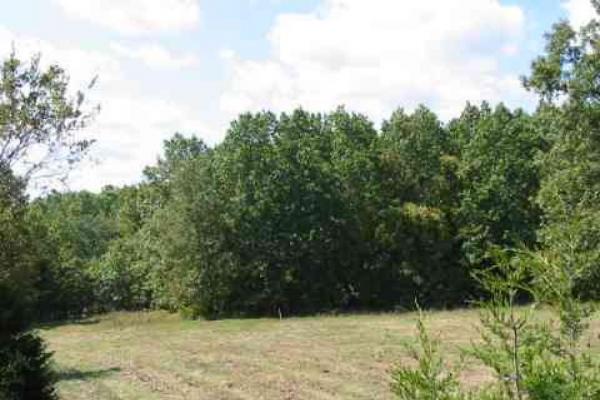 151 Acres SECLUDED GREAT HUNTING - Image# 5