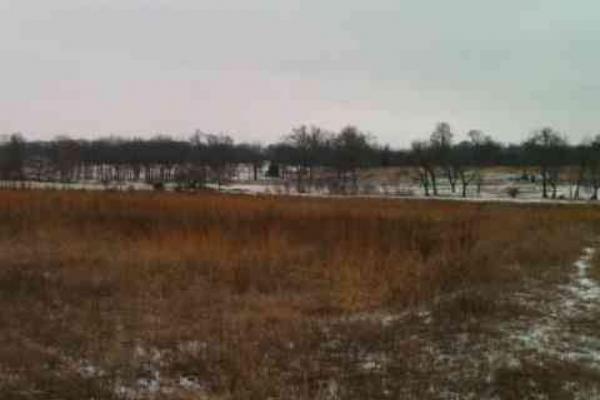 25 acres only about 10 minutes from New Joplin hospital - Image# 3