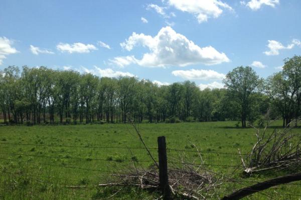 160 acres in Vernon County, Missouri - Image# 2